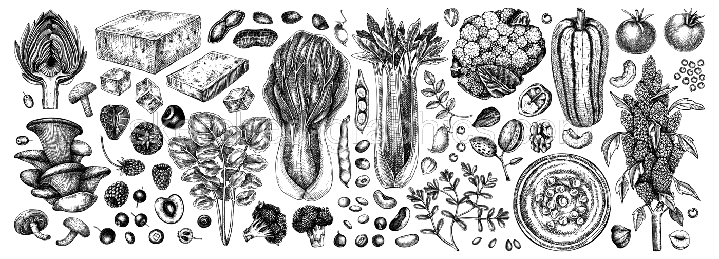Vegan food illustrations set. Healthy food illustrations collection. Hand drawn vegan meals and ingredients for menu, recipe, packaging design. Vegan food, nuts, seeds, fruits, veggies, tofu sketches Illustration